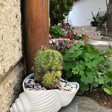 Sarievi بيت ضيافة 2*