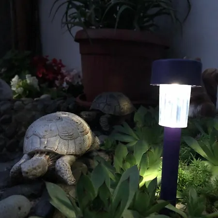 بيت ضيافة Sarievi تساريفو