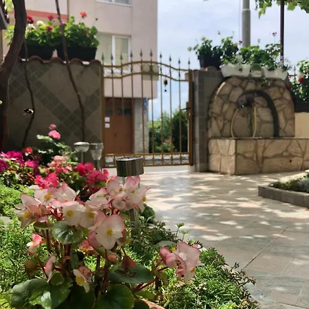 بيت ضيافة Sarievi تساريفو