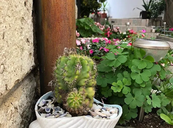 Sarievi Affittacamere 2*